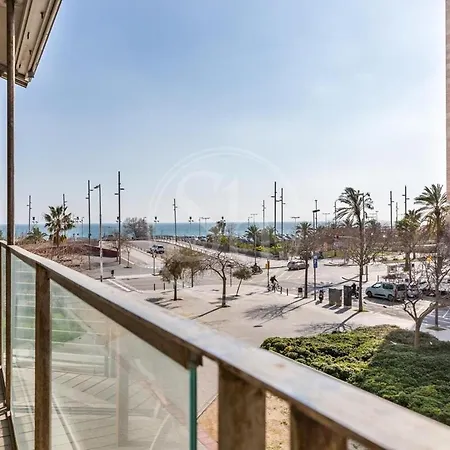 Apartment Beachfront With Terrace For 8